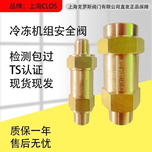 冷冻机组安阀SFA-22C300T14工业中央空调泄压阀T10冷凝蒸发器T1