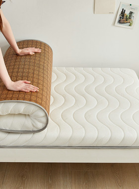 ip9d冬夏两用凉席学生宿舍软床垫幼儿园午睡垫子单人打地铺租房专