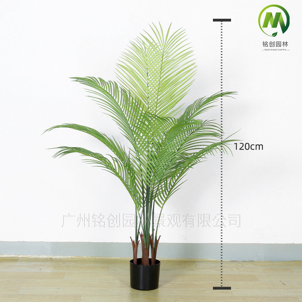 仿真绿植盆栽带盆仿真散尾葵凤尾葵室内装饰仿真摆件绿植植物假,家居饰品,仿真花/假花,淘宝优惠券,粉丝福利购,淘宝优惠卷