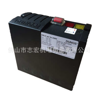 热销德国进口原装冬gasleakdetector斯dungs检漏仪dslcpxvx230v