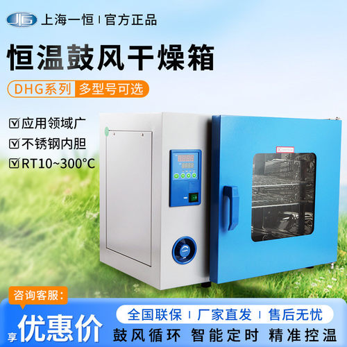 上海一恒DHG系列鼓风干燥箱实验室工业烘箱电热恒温鼓风干燥箱