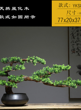 5dbj批发新中式禅意迎客松花盆盆景摆件枯山水微景观仿真绿植盆