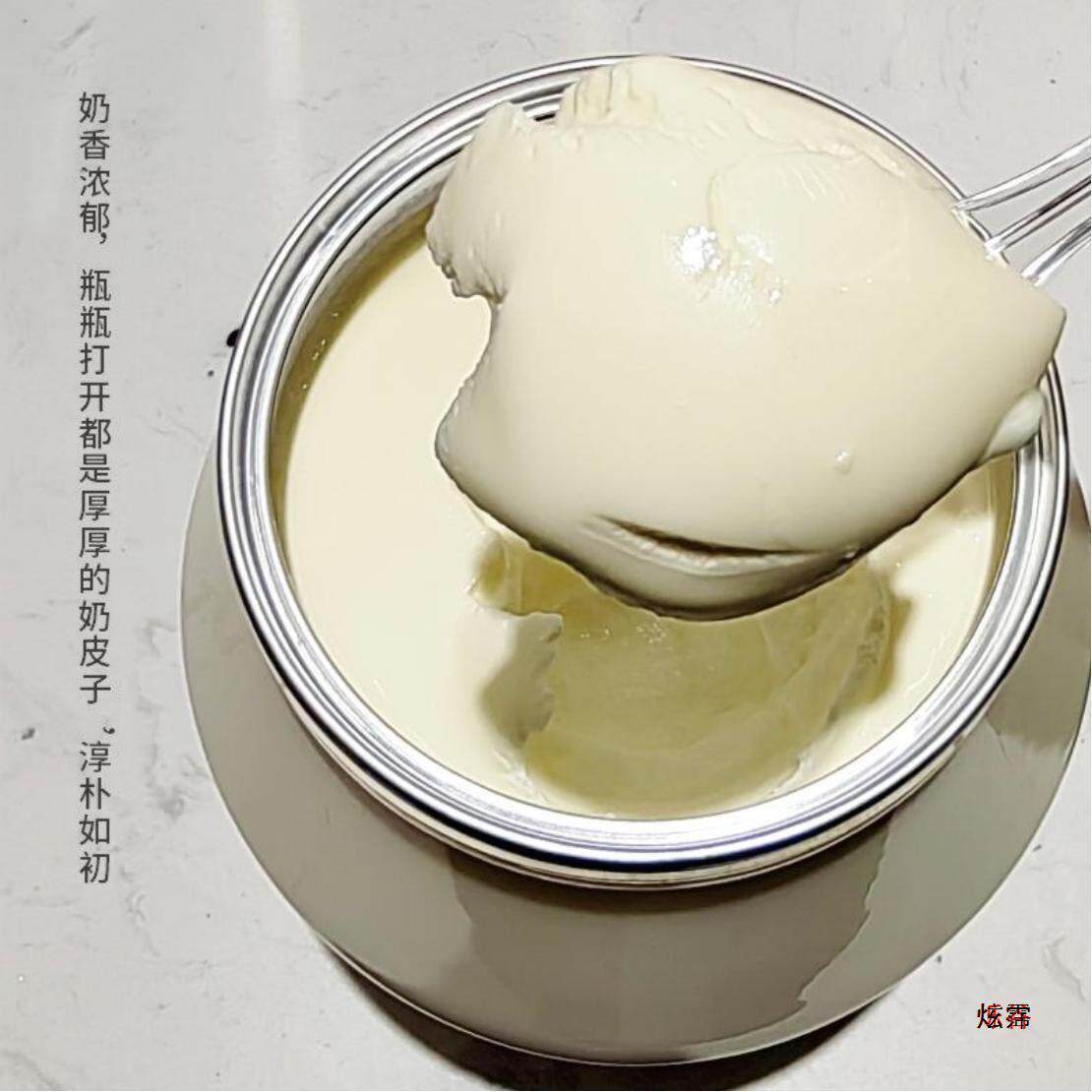 新货天缘妙可新疆奶皮子酸奶1kg*2桶装原味发酵乳全脂美味冷链运