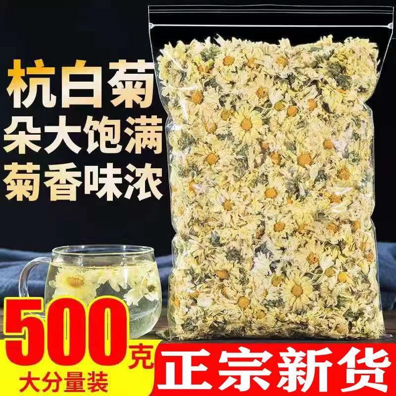 新货厂家直销正宗桐乡杭白菊新货菊花茶头茬特级非天然无添加花茶