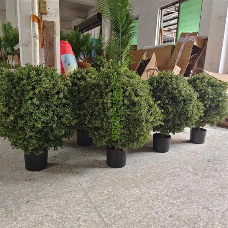 热销黄杨球仿真圆球形圆型黄杨木松针叶柏白蒂万年青树型假梅热带