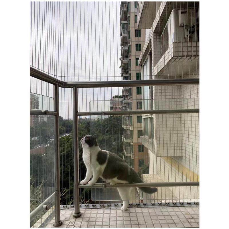 封阳台防护网隐形防盗网316不锈钢丝高层窗户儿童猫窗子护栏
