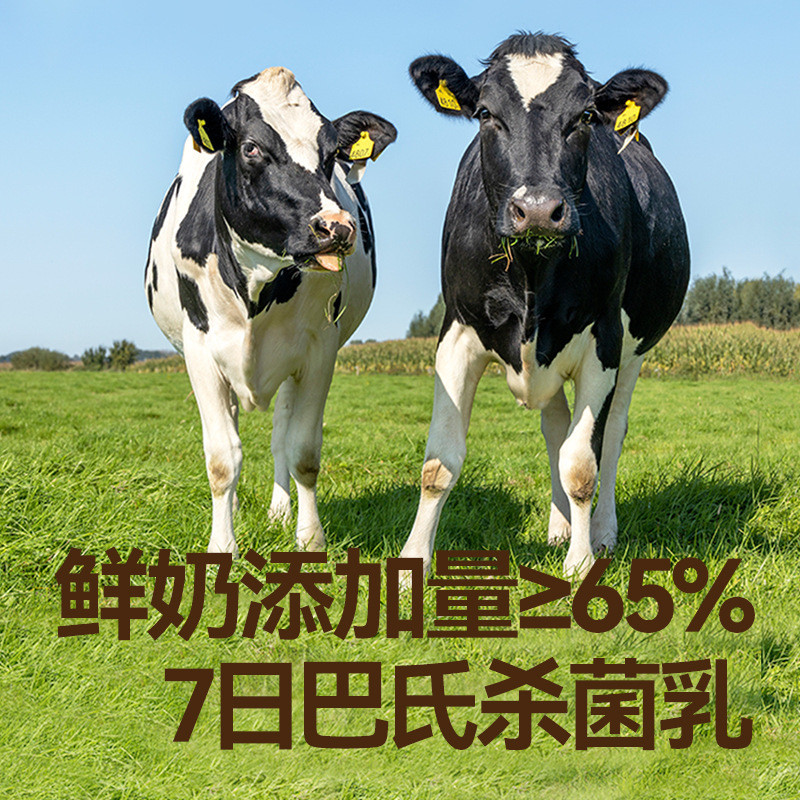 新日期秋田满满婴幼儿溶豆无白砂糖添加婴儿6个月以上吃的零食宝