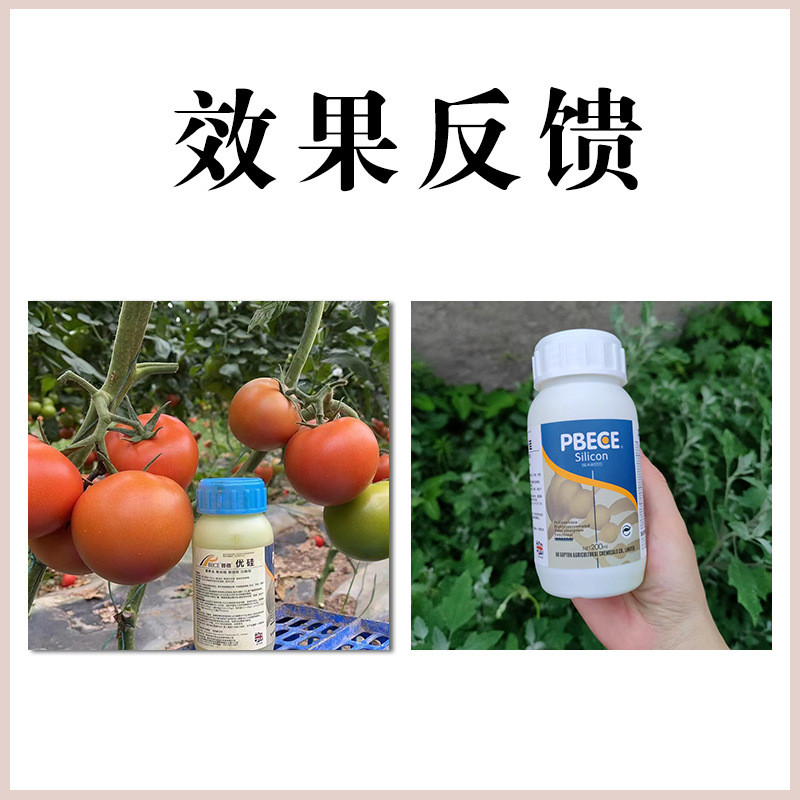 硅肥水溶肥农用硅肥酸性优硅防虫抗病抗倒伏瓜果蔬菜专用肥