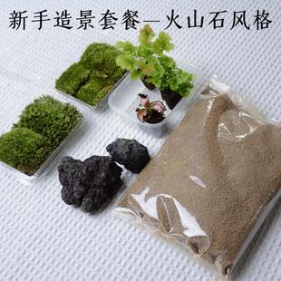 现货速发「空城里」苔藓微景观造景新手套餐材料包白发藓铁线蕨网