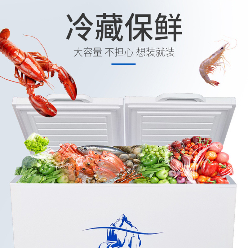 卧式冰柜大容量冰柜铜管单双温雪糕肉食卧式速冻柜商用冷藏冷冻