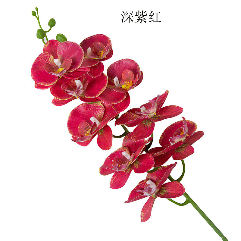 室内仿真植物蝴蝶兰盆景现代家居装饰塑料盆栽假花手感礼品套装