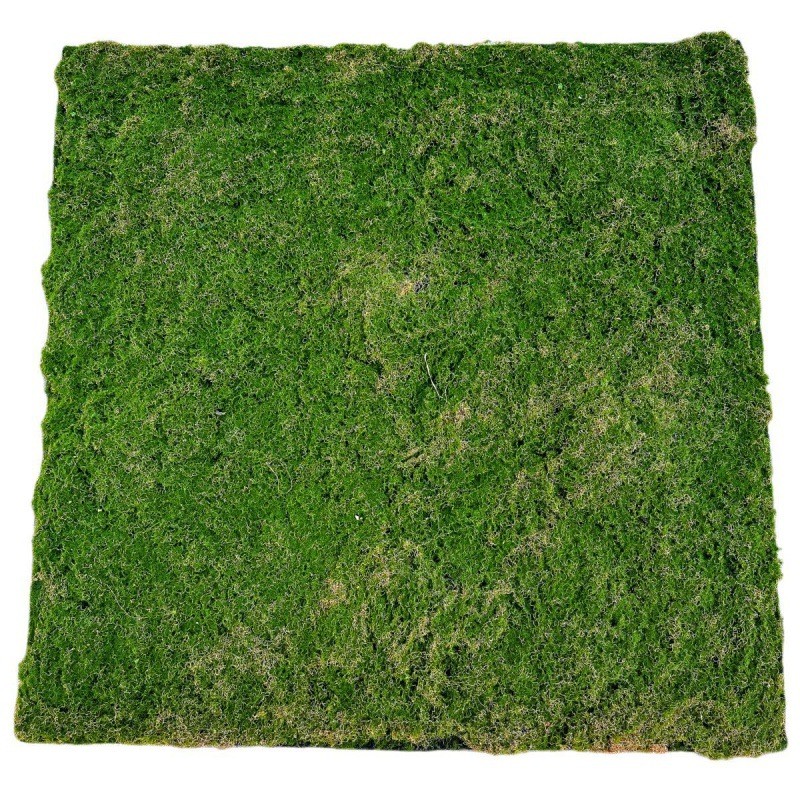 仿真草皮苔藓植绒青苔石植物墙配件仿真青苔草皮植物墙草坪苔藓