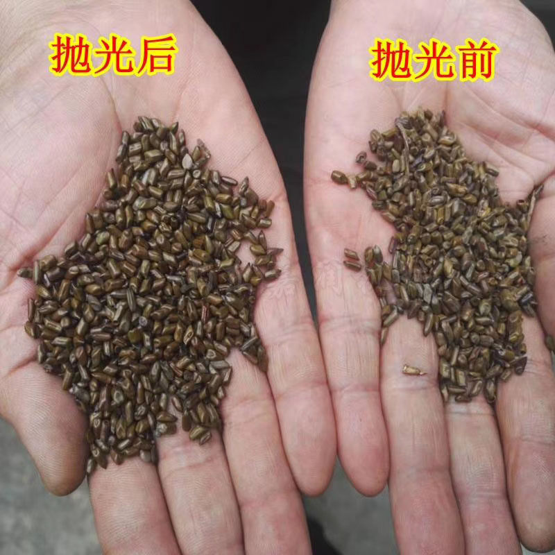 热销电动抛光机粮食打蜡抛光一体机大豆红豆抛光机