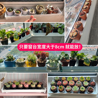 美莳窄阳台多肉花盆托盘窗台花架塑料超长条长型长方形接金小