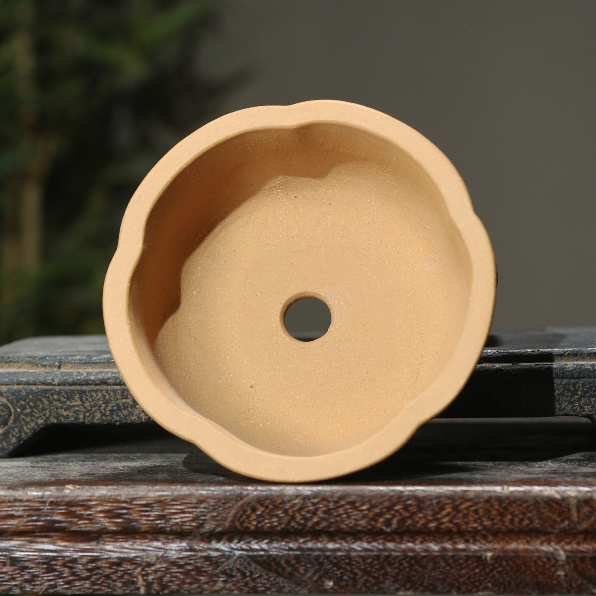 紫砂花盆花瓣降梅花形多瓣形名家盆孙伟盆景盆觅陶乡形坡泥中国风