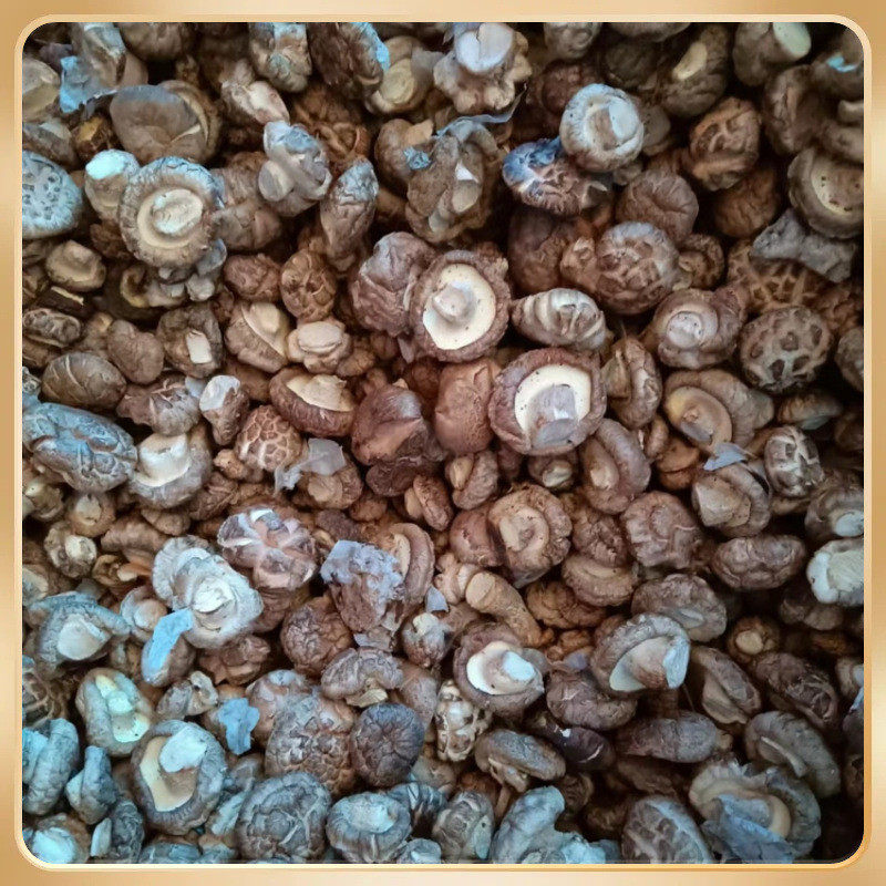 新货aw小花菇米500g农家西峡土特产蘑菇干货迷你小香菇包邮新货香,粮油调味/速食/干货/烘焙,香菇类,淘宝优惠券,粉丝福利购,淘宝优惠卷