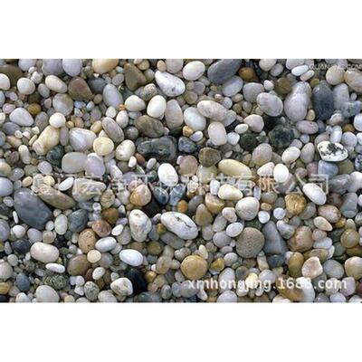 热销福建pebbles滤鹅卵石鹅卵石料比专业更专注