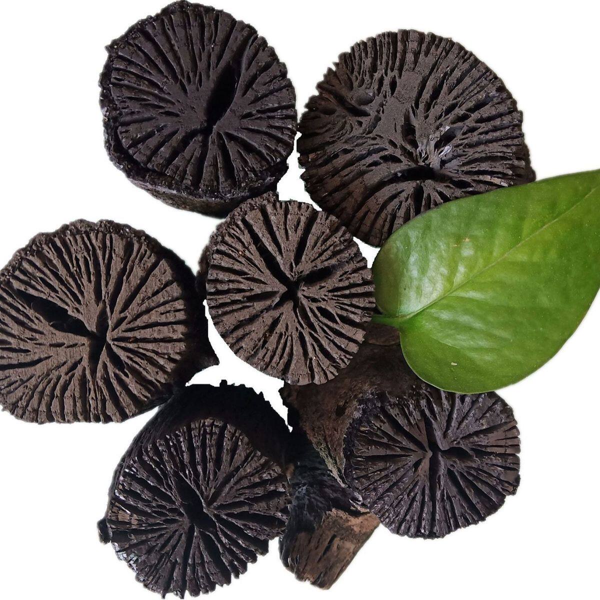厂家现货供应菊花碳 汗蒸房 户外烧烤果木炭 家用火锅用菊花碳