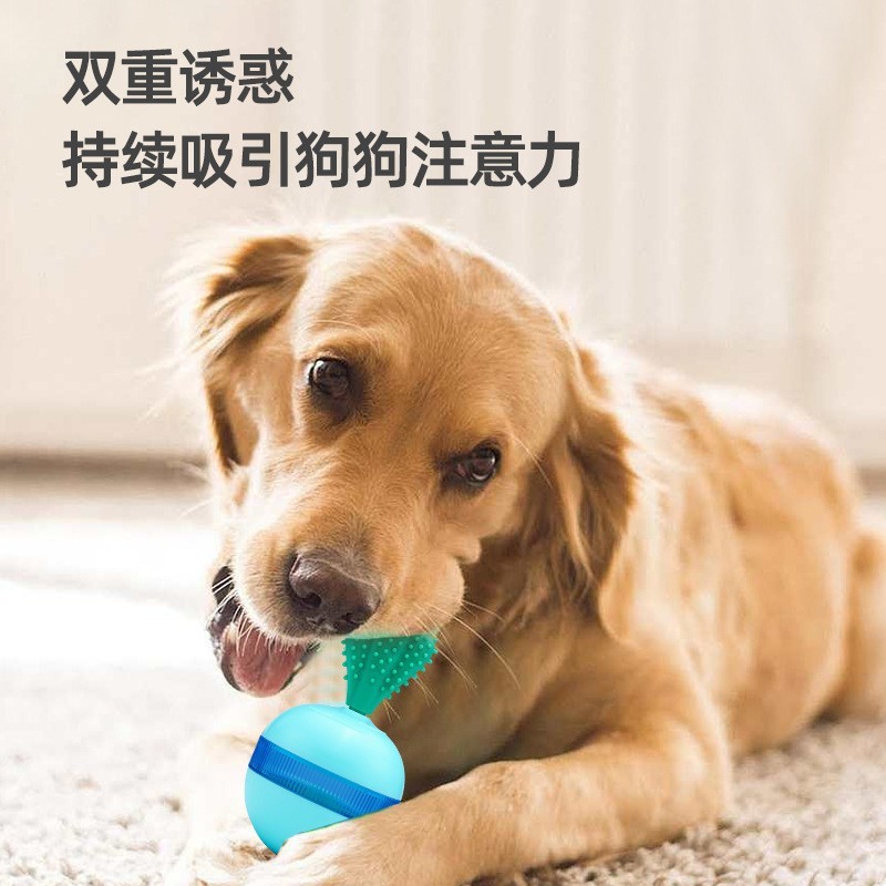 宠塑料布自嗨解闷大型犬漏食磨牙棒器物玩具猫狗咬不烂球绳耐结电