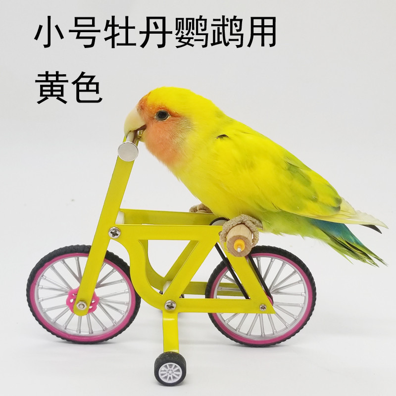 现货鹦鹉玩具解闷互动训练道具训鸟用品玄凤虎皮牡丹自行车篮球