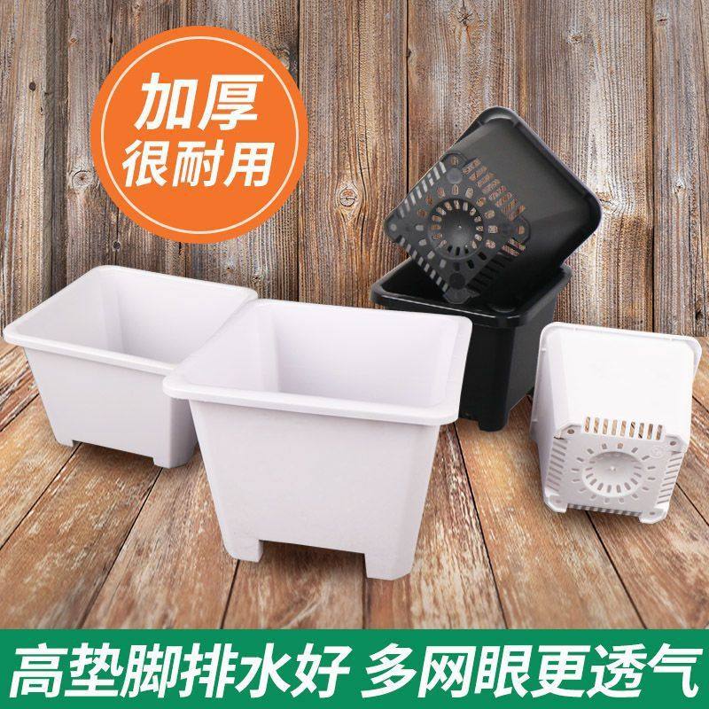 新款方形花盆塑料景天盆透气实用加厚大号多肉绿萝黑色育苗杯喜儒,鲜花速递/花卉仿真/绿植园艺,花盆,淘宝优惠券,粉丝福利购,淘宝优惠卷