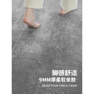 极简2024新款 热销客厅地毯免洗可擦洗意式 地垫轻奢高级感家用沙发