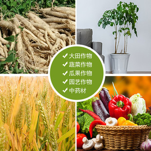 复合微生物肥纯鸡粪花卉盆栽高温发酵肥蔬菜机械化绿植果树肥料