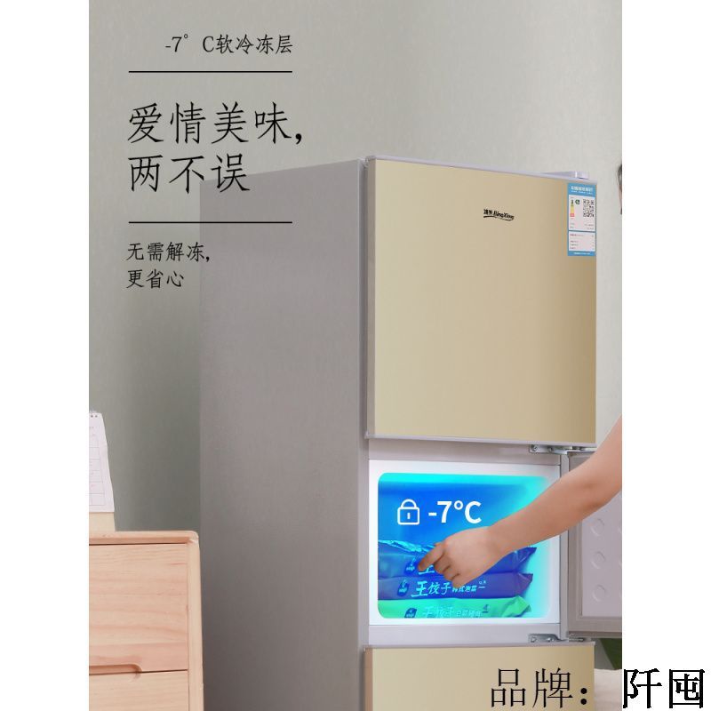 一级能效小冰箱家用小型租房宿舍节能省电双开门大容量中型电冰箱