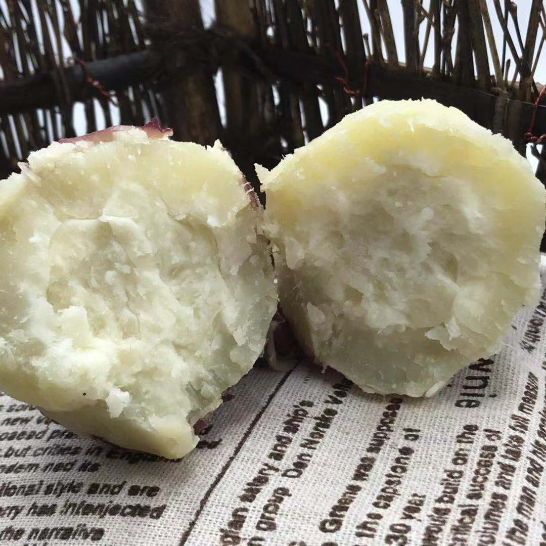 重庆红皮白心红薯老品种新鲜现挖板栗薯农家四川山芋番薯香