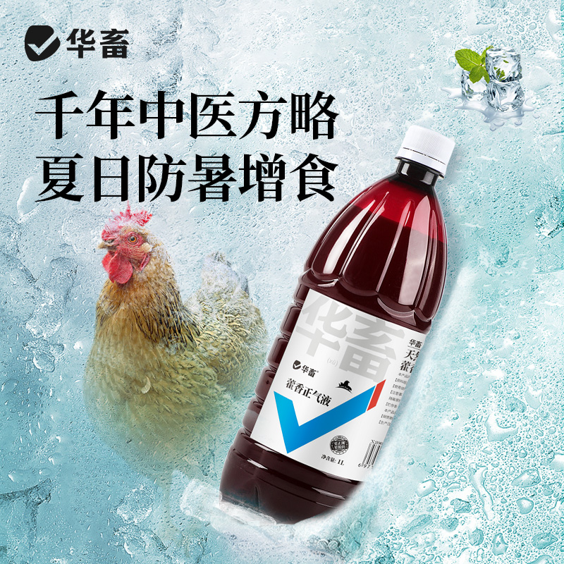 藿香正气液兽用降温解暑口服液