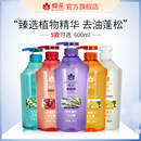 蜂花洗发水无硅油控油蓬松生姜强韧亮泽净爽去屑石榴滋养洗发露