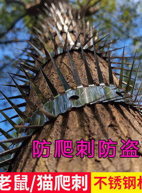 防鼠爬刺网防老鼠爬水管空调燃气下水管道汽车阳台防鼠猫爬倒刺钉