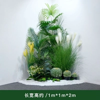 Байин Брук луга