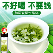 浓香型茉莉花茶2025新茶叶特级罐装 1斤1大罐 飘雪横县花茶500g