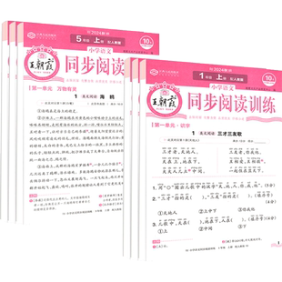 2026王朝霞活页阅读训练一二三四五六年级下册上册同步阅读理解配套教材人教版小学语文默写专项练习寒假作业字词句积累专项训练书