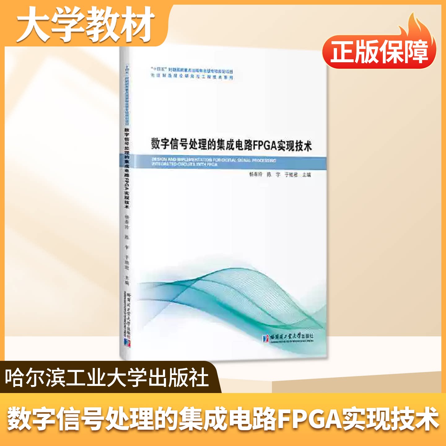 数字信号处理的集成电路FPGA实现技术哈尔滨工业大学出版社大学教材数字集成电路设计自动控制电子信息计算机专业教材理论研究工程