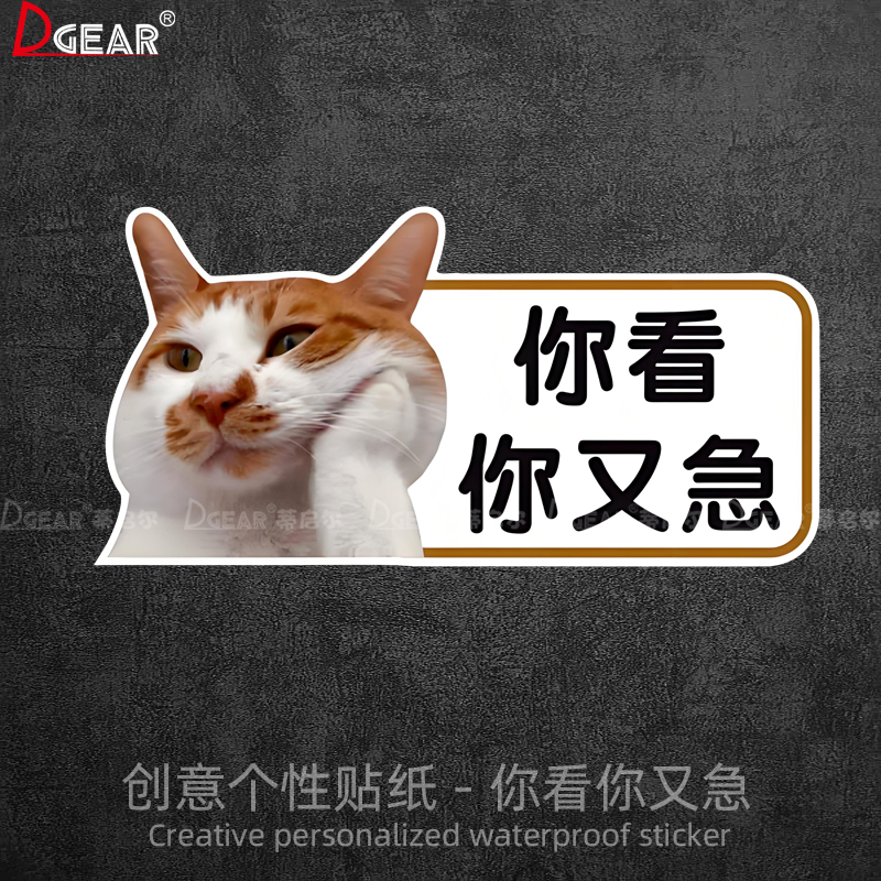 你看你又急猫咪车贴汽车车尾个性