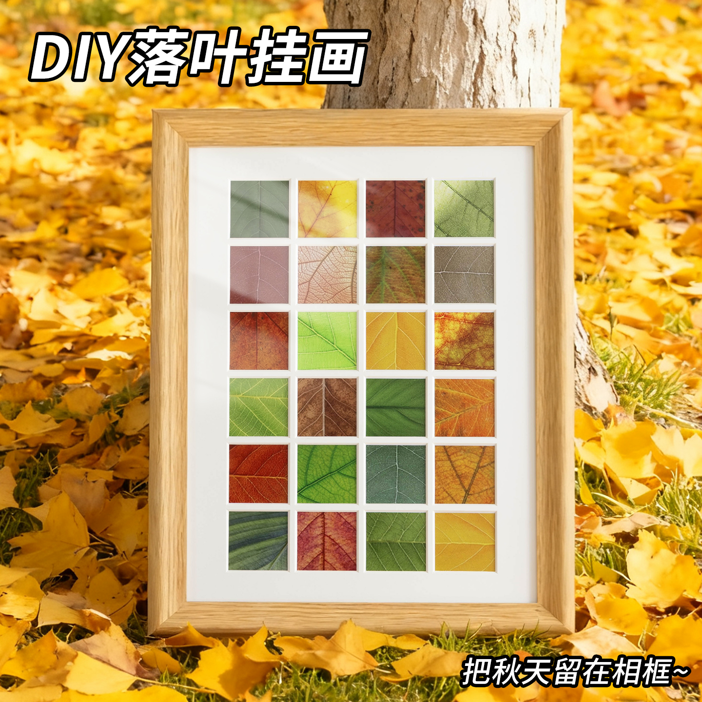 简单派树叶标本diy相框