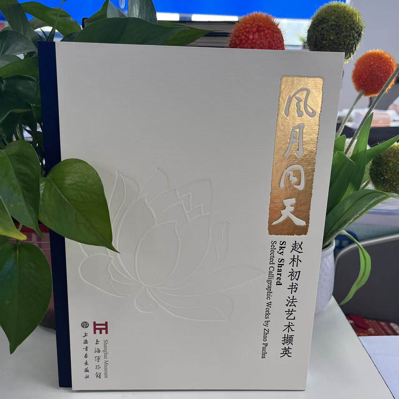 新书--风月同天：赵朴初书法艺术撷英（精装）9787547935774上海书画