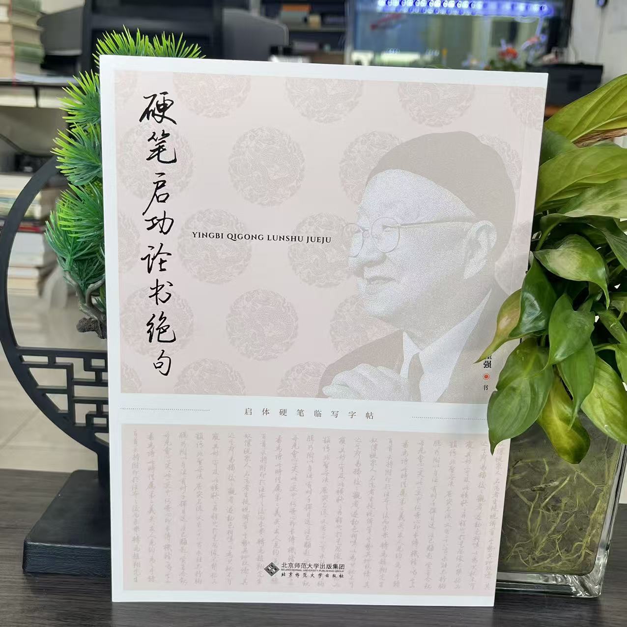 硬笔启功论书绝句9787303311026北京师范大学