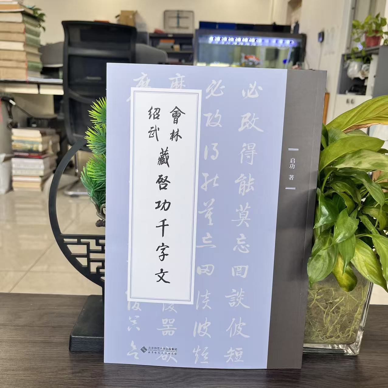 微瑕-会林绍武藏启功千字文9787303301454北京师范大学