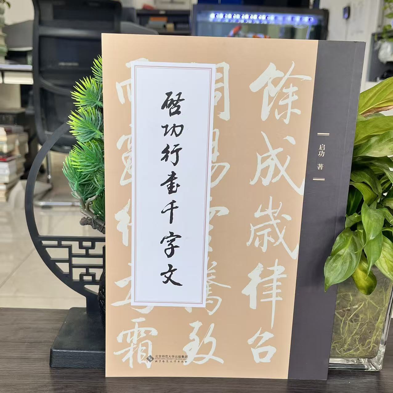 启功行书千字文9787303301447