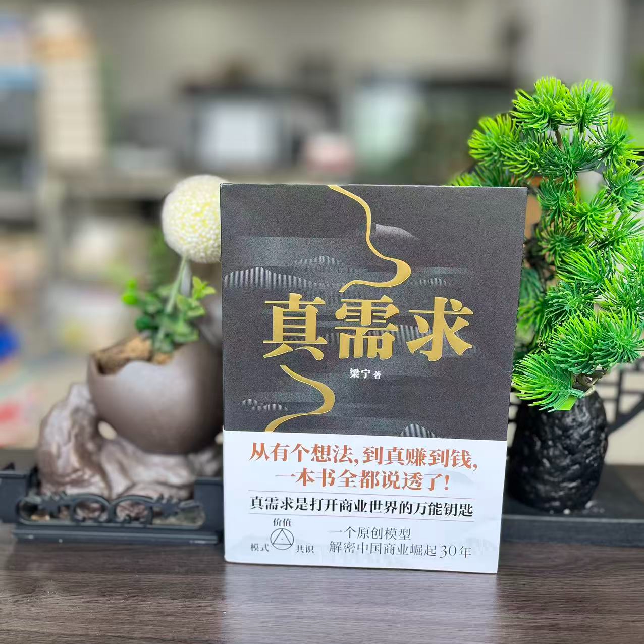 微瑕--真需求梁宁作品9787513357685新星