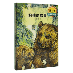 沈石溪激情动物小说棕熊的故事沈石溪上海少年儿童出版社国语日报民生报儿童幼狮少年智取双熊黑熊舞蹈家野猪王动物世界义气骨气