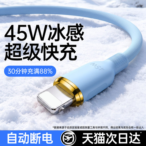 次日达适用苹果快充充电线