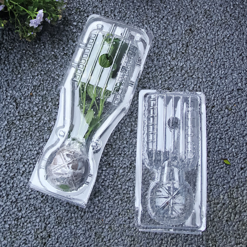 保护盒幼苗辣椒苗包装盒菜苗启泰