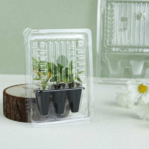 种苗盆栽pvc吸塑泡壳打包盒