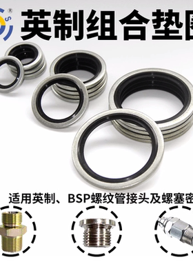 组合垫圈自定心英制耐油BSP镀锌螺纹管接头螺纹密封组合垫圈