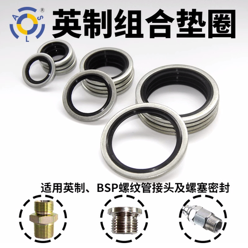 上海垫圈ASL碳钢镀锌+丁腈自定心