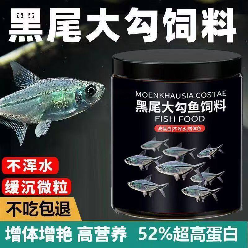 黑尾大勾鱼饲料一眉道人鱼